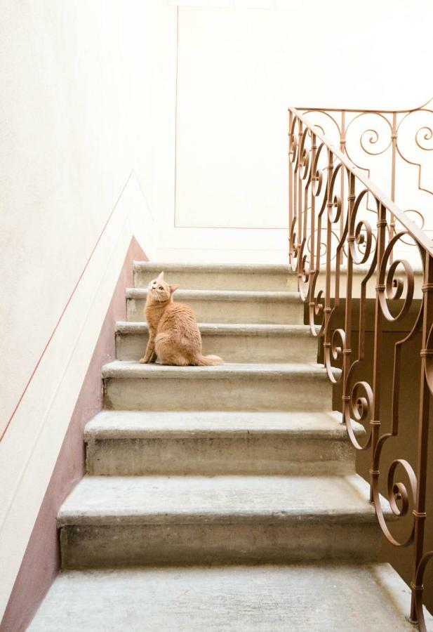 Apartmán Charme Con Parcheggio Lucca Exteriér fotografie